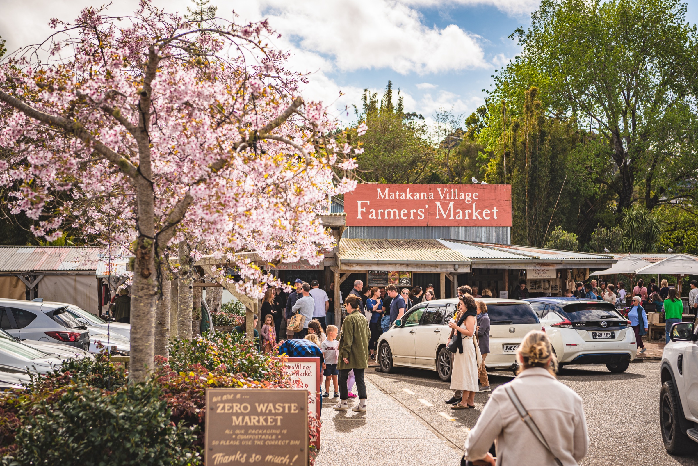 Matakana Village Farmers Market on a spring Saturday: cherry blossom in the foreground, the red market sign, and people gathered under the stalls, seven minutes from Bluestone Estate.